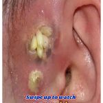 Refresh Your Day with Carrot Lemon Detox Juice