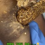 THE BENEFITS OF A GENTLE MORNING CLEANSE