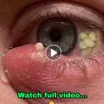 CeraVe Hydrating Facial Cleanser